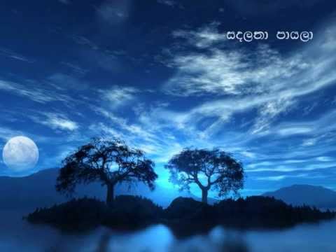 Sanda latha payala... (සඳලතා පායලා) by Keerthi Pasquel