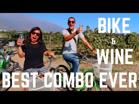 Wine tour in Santiago- ON BIKES & eating the best Chilean food at LA VEGA CHICA  | Santiago, Chile