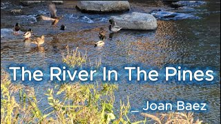 The River In The Pines _ Joan Baez