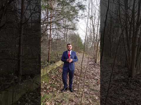 Kolej Plus i szprychy CPK - to mogą i powinny być komplementarne projekty