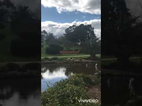 #drouincivicpark#relaxingview#stressfree#nature