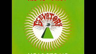 13th Floor Elevators - Monkey Island