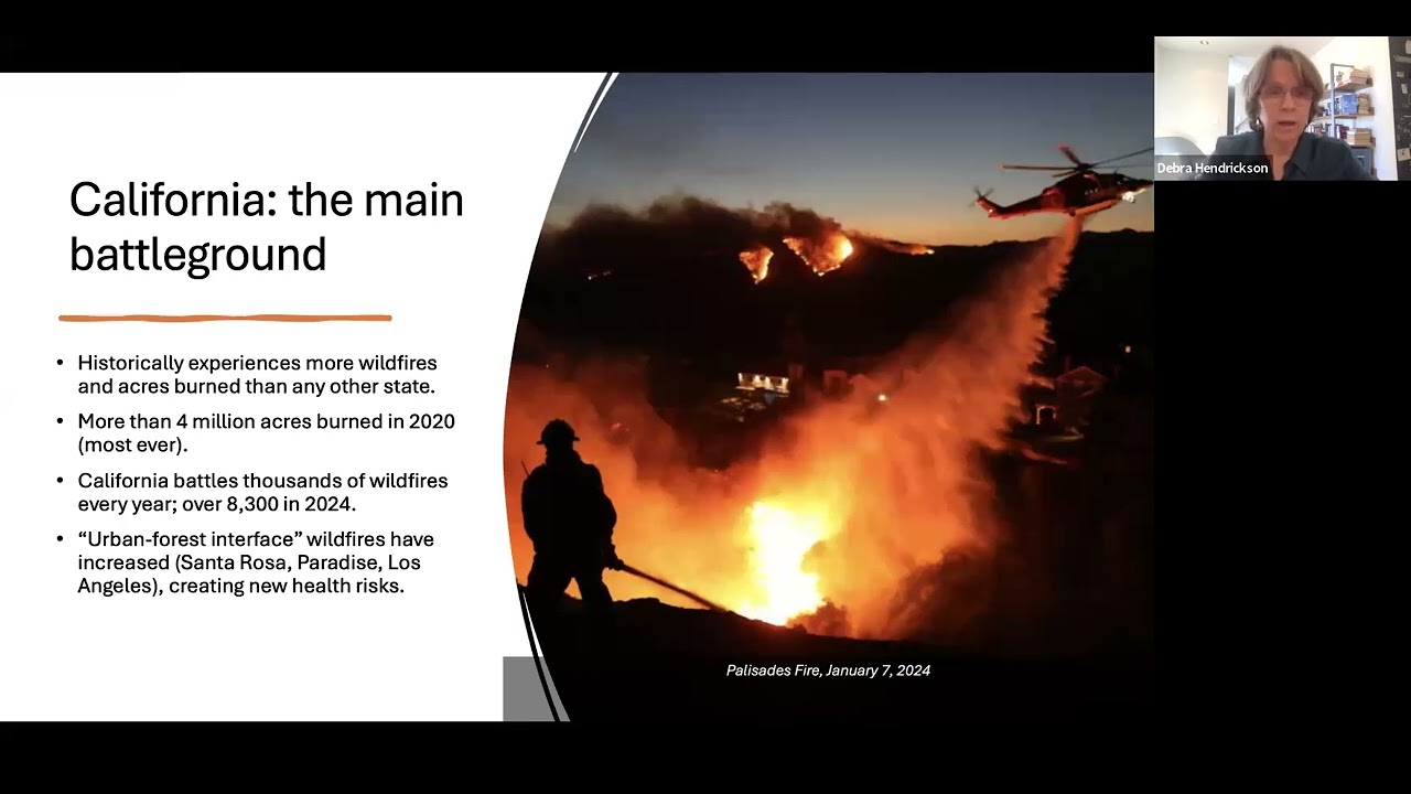 Wildfire Smoke and Children's Health