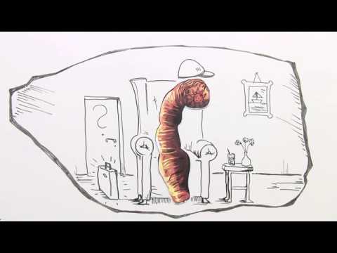 PARASITISMUS | EXTREME ÜBERLEBENSSTRATEGIE | Biologie | Ökologie