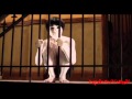 The Grudge 3 Toshio