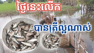 តោះបងប្អូនមកមើលអ៊ំលើក អាលីលើ បានត្រីច្រើនណាស់ខាងស្រុកខ្ញុំគេហៅអាលីលើ។
