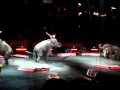 2007 Circus 01 MOV02820 MPG