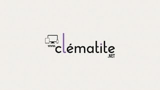 Clématite armandii -  - Clematite.net - Spécialiste des plantes de jardin