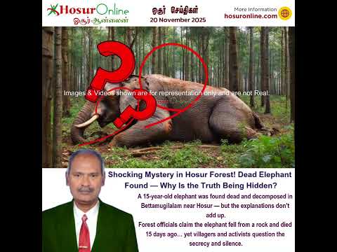Mysterious Elephant Death Near Hosur Sparks Public Outrage — Questions Raised Over Forest Dept.