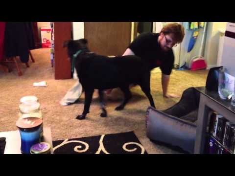 Zarina's First Night Home