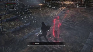 Blood borneやってみた。　 その1