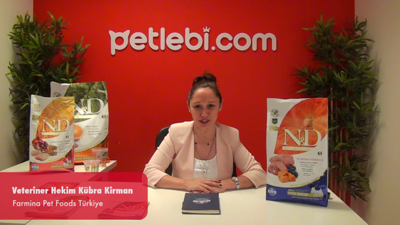 N&D Pumpkin Bal Kabaklı Kuzulu ve Yaban Mersinli Küçük Irk Tahılsız Yetişkin Köpek Maması 2,5kg tanıtım video görseli