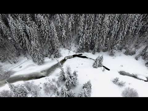 Winter in Bilbor, Romania 4K