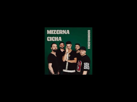 Gooroleska - Mizerna Cicha (Official Visualizer)