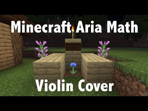 Insane Violin Cover of Minecraft Aria Math!