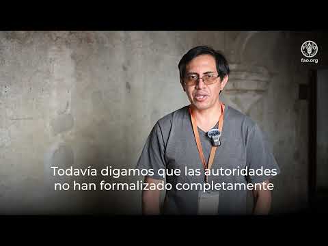 Miguel Chinchero, Sistema Nacional de Monitoreo de Bosques (Ecuador)