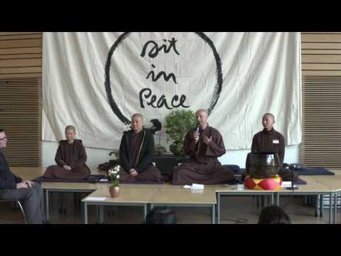 2016.06.02 The Miracle of Mindfulness Retreat -  Q&A part 6