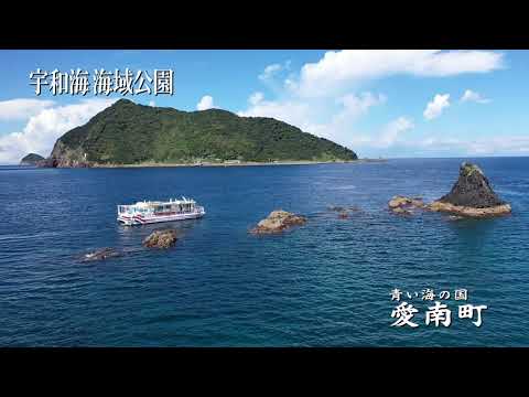 青い海の国 愛南町「宇和海海域公園」