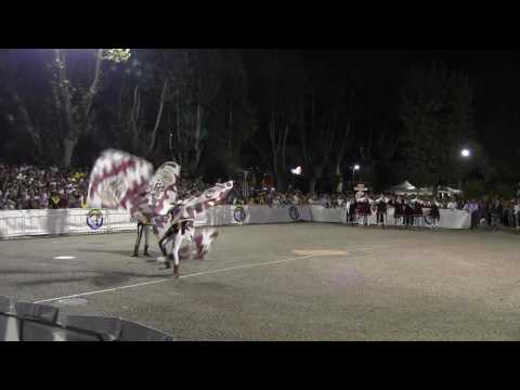 Tenzone Aurea 2016 -  Palio dei Micci Singolo 2 finali