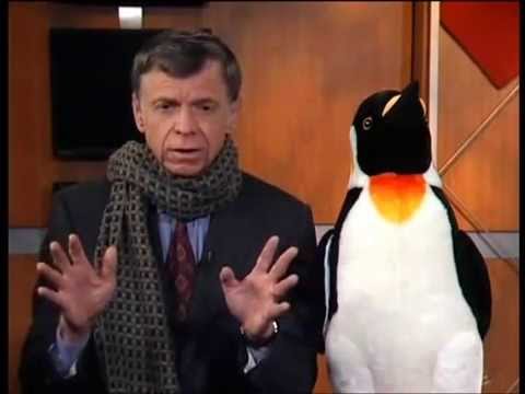 John Kotter - Is Your Iceberg Melting?