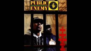 Public Enemy - Night of the Living Baseheads