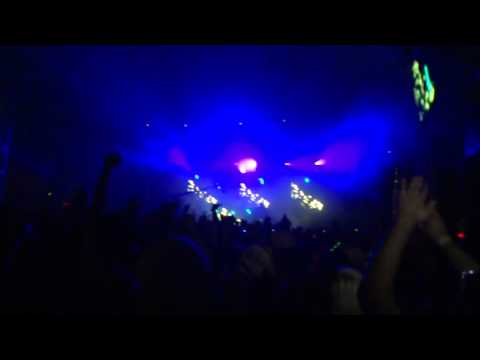 Steve Angello @ Escape From Wonderland 2011
