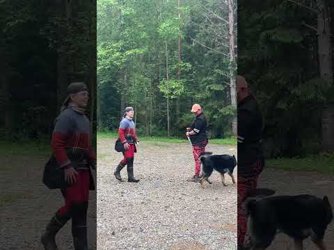 Symppis Nörtti MH-luonnekuvaus 15.6.2024 1/8