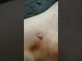 Kaki Ak Skt