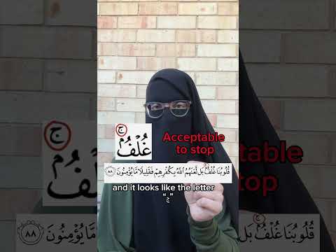 What Are These Tajweed Signs in The Quran?