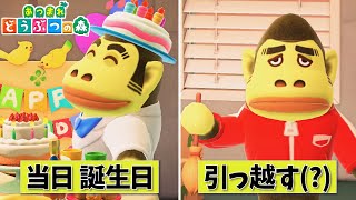 【あつ森】当日が誕生日の住民、流石に何があっても引っ越さない説を検証してみた【あつ森引っ越し】