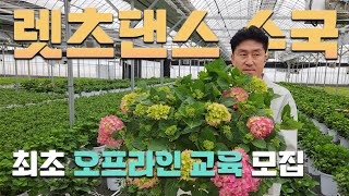 가치를 알면 빼놓을 수 없는 교육! 렛츠댄스 수국의 모든 것! 트랜드를 선점하세요!