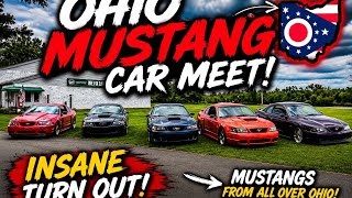 INSANE Ohio Mustang Meet! Craziest Turnout Yet