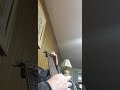 Down - Doob Interlude (Guitar Cover)