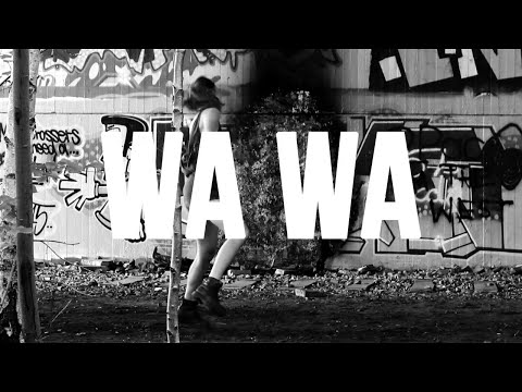 Sam Collins - Wa Wa (Official Video)