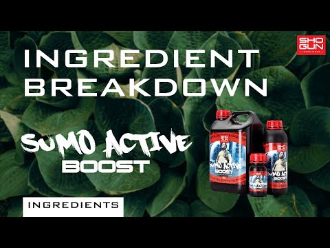 Ingredients Breakdown SHOGUN Sumo Active Boost - Flowering Booster