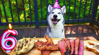 My Husky’s 6th Birthday - Laika's Birthday Feast!