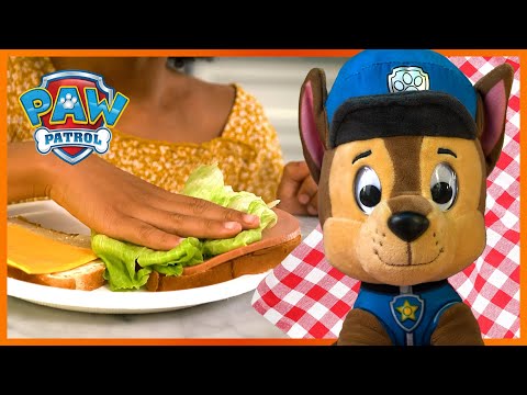 Spin Master PAW PATROL Pliušinis šuniukas-patrulis CHASE, 22cm video