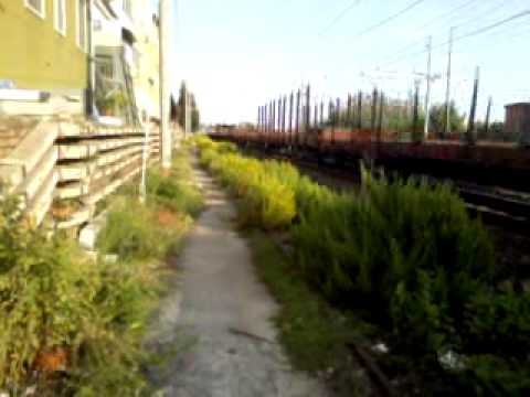 Un bel mercione a Pontecagnano !