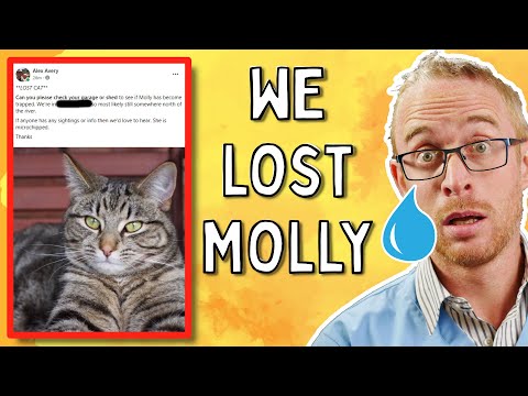 How To QUICKLY Find A Missing Cat