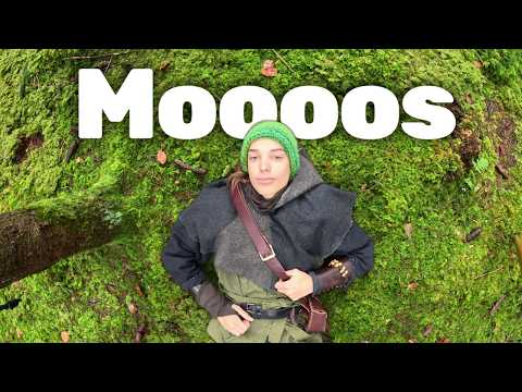 Unfortunately, almost nobody knows this about mosses.