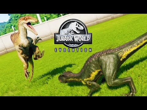 NEW SPINORAPTOR vs INDORAPTOR (JURASSIC WORLD EVOLUTION)