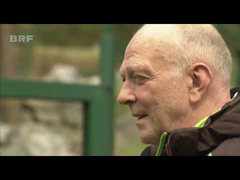 Die Invasion der Waschbären: Putzige Tiere zum Abschuss freigegeben