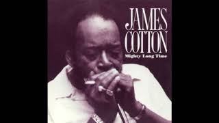 James Cotton ‎– Mighty Long Time (1991)