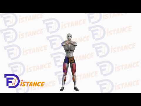 Exercice Squats au poids du corps