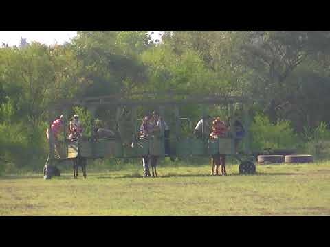 6ta CARRERA 325mts Ganador: Inesperada, Segundo: Marama. ( Ariel Barreto producciones )