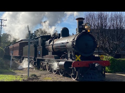 Steam ranger: The Cockle train full line