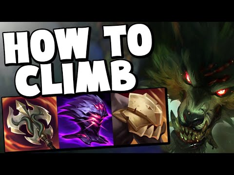 WARWICK JUNGLE BUILD TO CLIMB LOW ELO