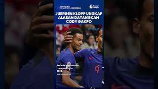 Juergen Klopp Bocorkan Alasan Boyong Cody Gakpo di Transfer Winter 2023, Singgung Masalah Keuangan