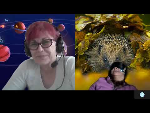 HIPNOZA REGRESIVA.RO-1702.Marinela,Compromisul scade vibratia,Hipnotiz.demon.Hilub. E.LASCU si ELA