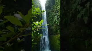 ⛅ Nature full-screen status video 🌱4k video🌍 HD - 2021 || Nature WhatsApp Status Video || jannat ||